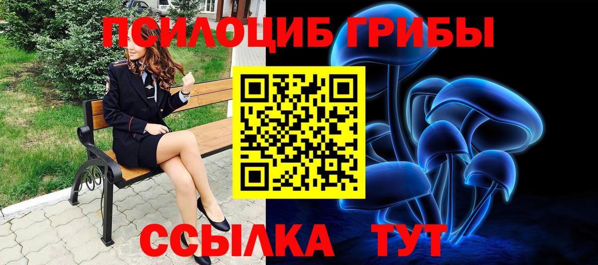 Галлюциногенные грибы мицелий Великий Новгород