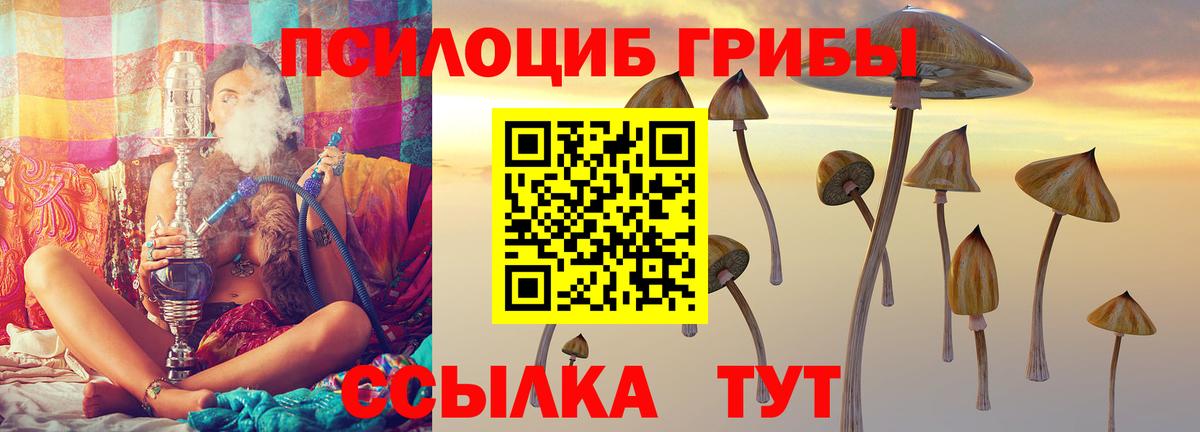 Галлюциногенные грибы MAGIC MUSHROOMS  Вход с VPN  Псилоцибиновые грибы мухоморы  Великий Новгород 